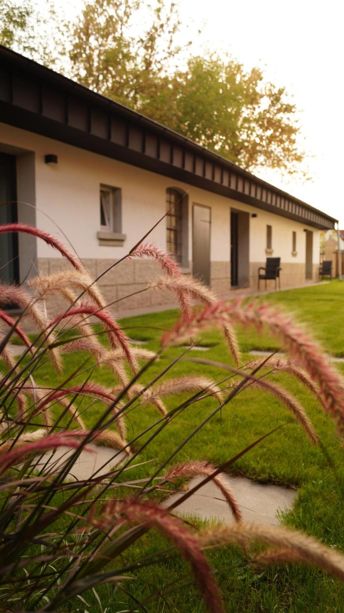 Apartamento Remise Brasch - Zwischen Bahnhof Und Elbe Wittenberge Exterior foto